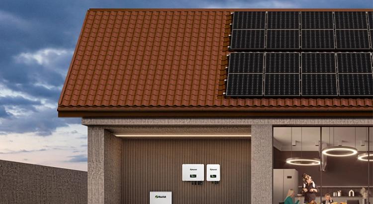 How to Choose the Best Battery for a Solar Energy System